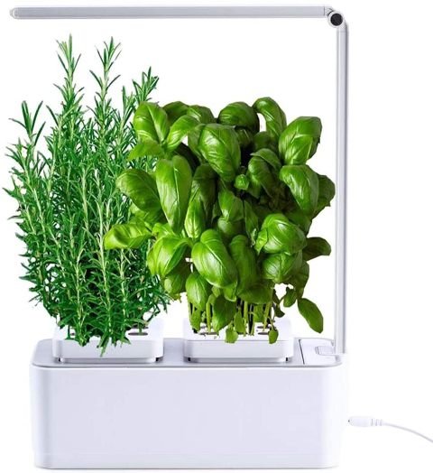 Smart Garden Huerto de Interior